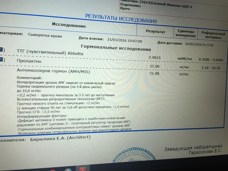 Удачный протокол ощущения форум. АМГ Ситилаб. Антимюллеров гормон. АМГ анализ. Эмбриологический протокол.