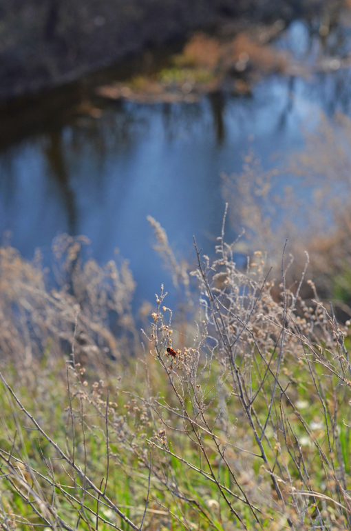 Моя малая Родина..