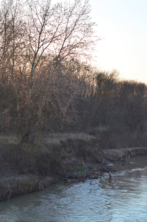 Моя малая Родина..