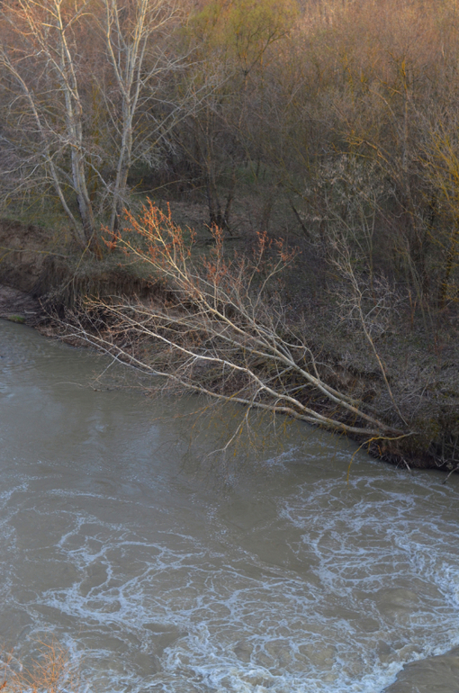 Моя малая Родина..