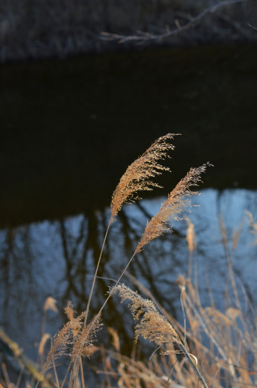 Моя малая Родина..