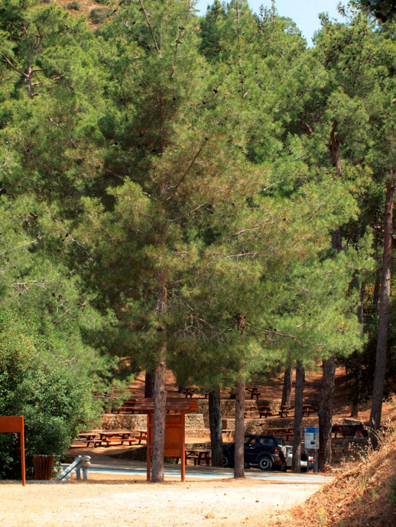 Что посмотреть на Кипре. Горы Троодос