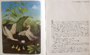 Букинистика. Нечаянная радость