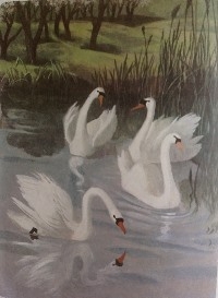 Букинистика. Нечаянная радость