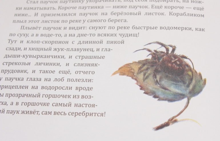 Репортаж со стадиона