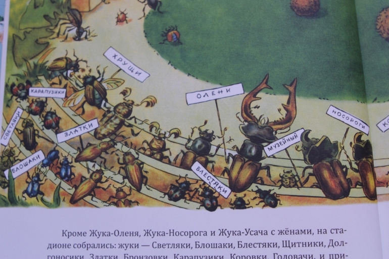 Репортаж со стадиона