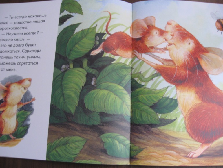 Получила книги!