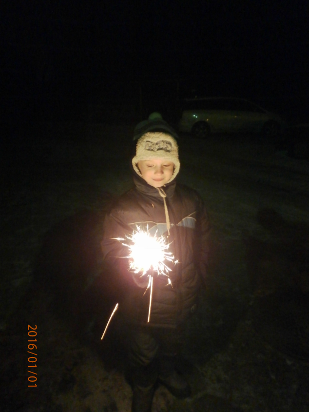 Встречаем Новый 2016 год