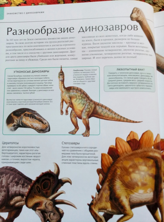 Фото динозавров с названиями для детей на русском языке