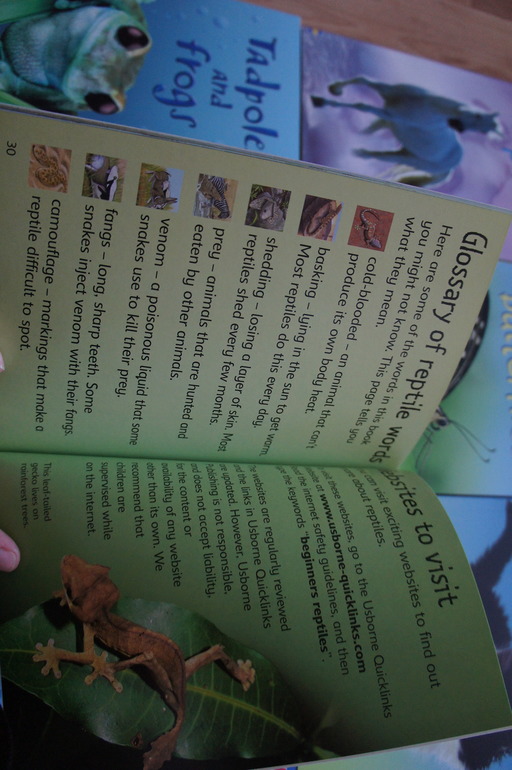 Книги для чтения на английском