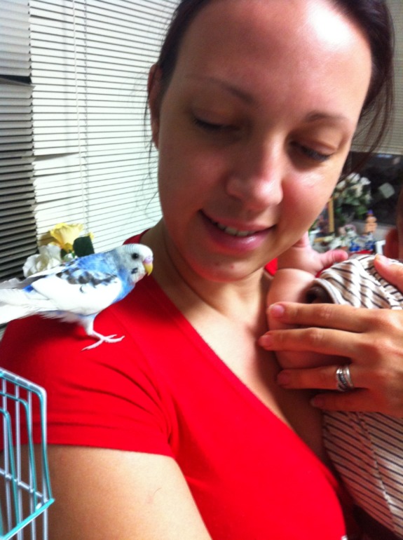 Плачу второй день