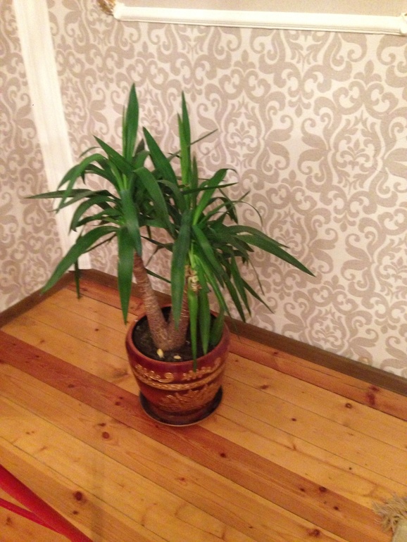 Помогите распознать .....