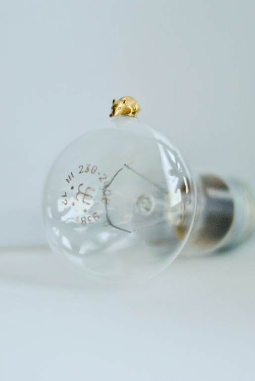 А у вас есть кошельковая мышь?