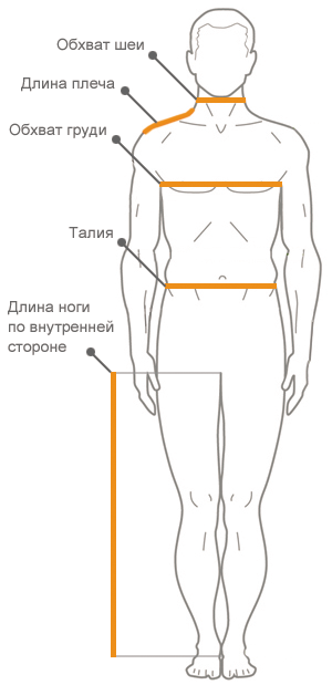 Обхваты у мужчин. Замер плеч. Плечевой пояс замеры. Обхват плеч у мужчин. Окружность плеч у мужчин.