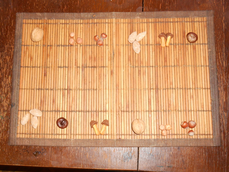 Как живет белка зимой (отчет)