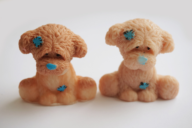 кто это к нам приехал?!