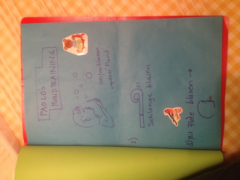 отчет о посещении логопеда.