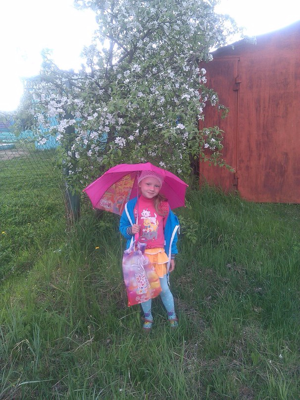 Картинка