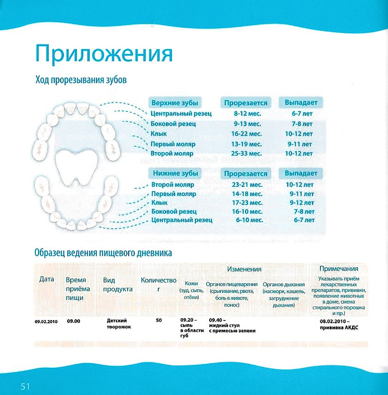 Прикорм в 7 месяцев на гв. Меню прикорма с 6 месяец. Ввод продуктов по месяцам до года.