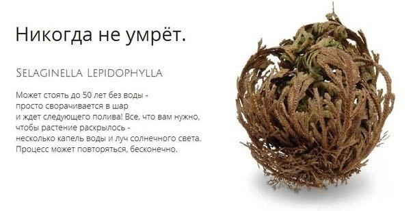 7ea7a1c37781bbac4d471537d941cb85.jpg