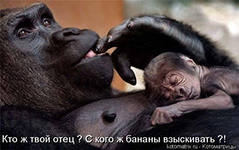 умилялась,глядя на обезьянок..