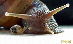 умилялась,глядя на обезьянок..