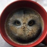 ФЛЕШМОБ девочки, кто со мной?? участницы,жмем глазик и не теряемся