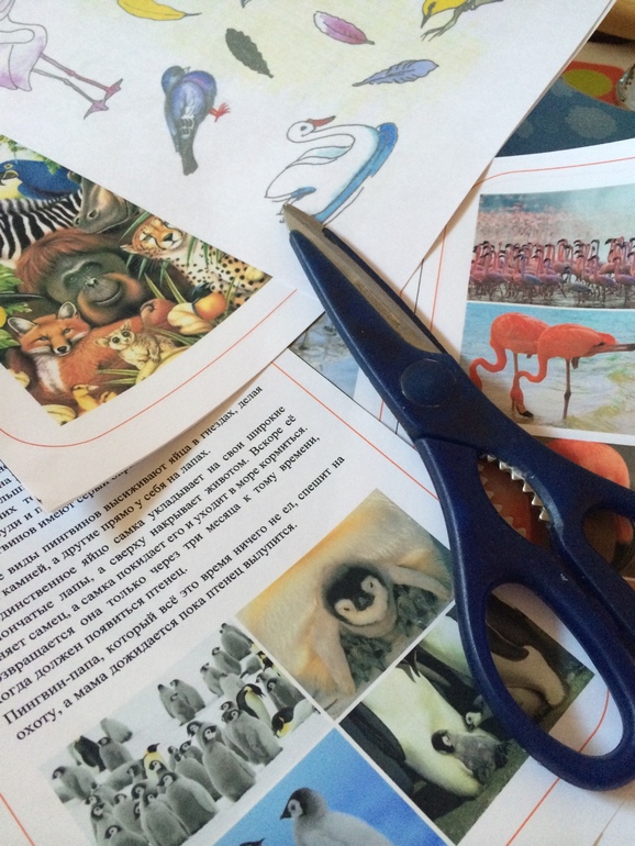 ФМ от Светланы. Экзотические птицы