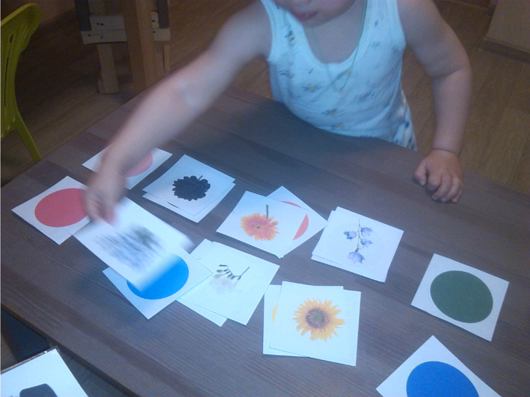 Времена года. Лето.