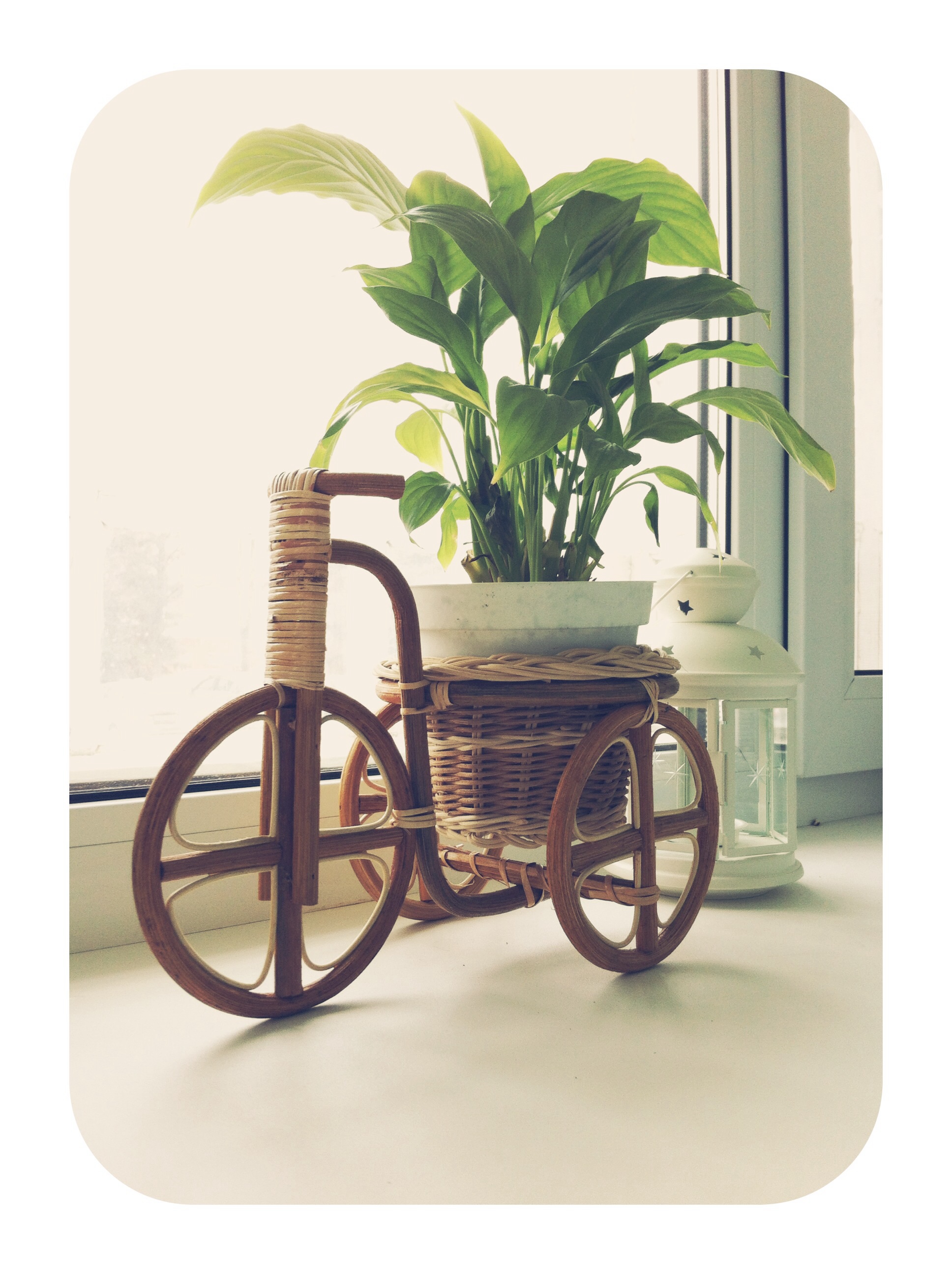 Home, sweet home. 18 марта. В транспорте.