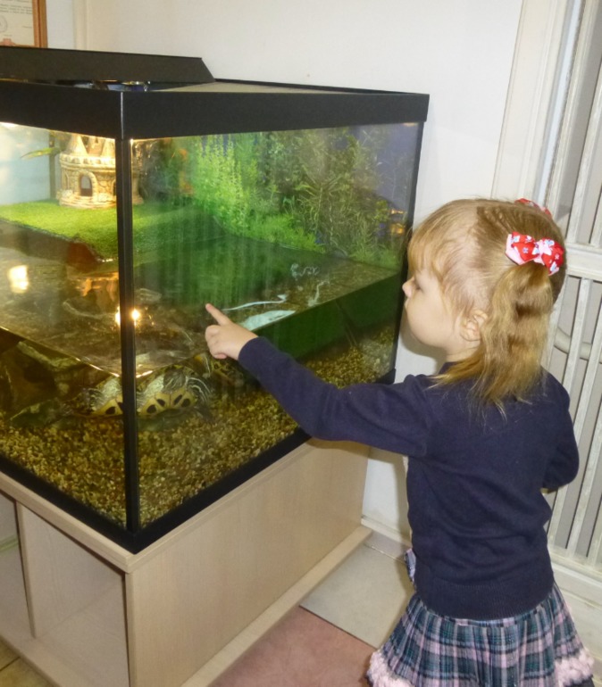 *Театр*кукол*Жар*птица*