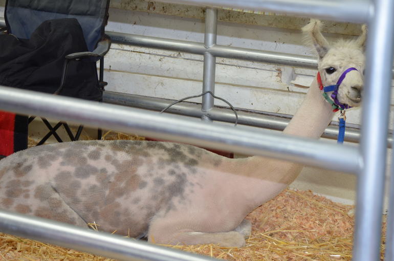 И вновь наши замечательные выходные!