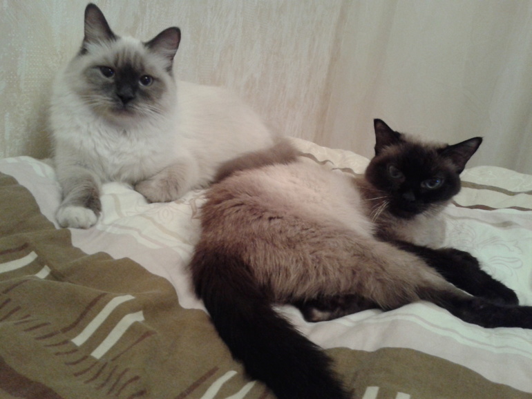 Наша Есения.