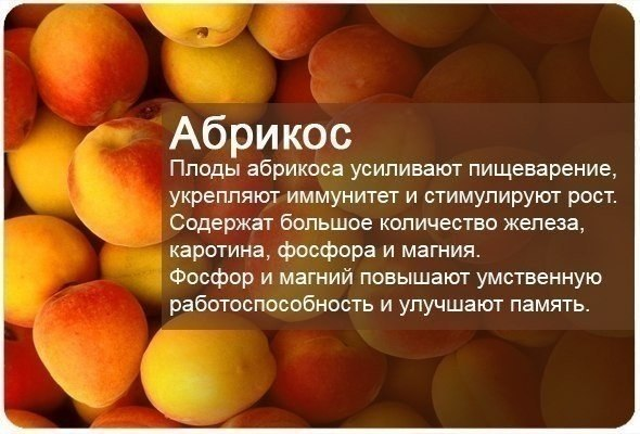 Наши Друзья рядом! Витаминизируемся!