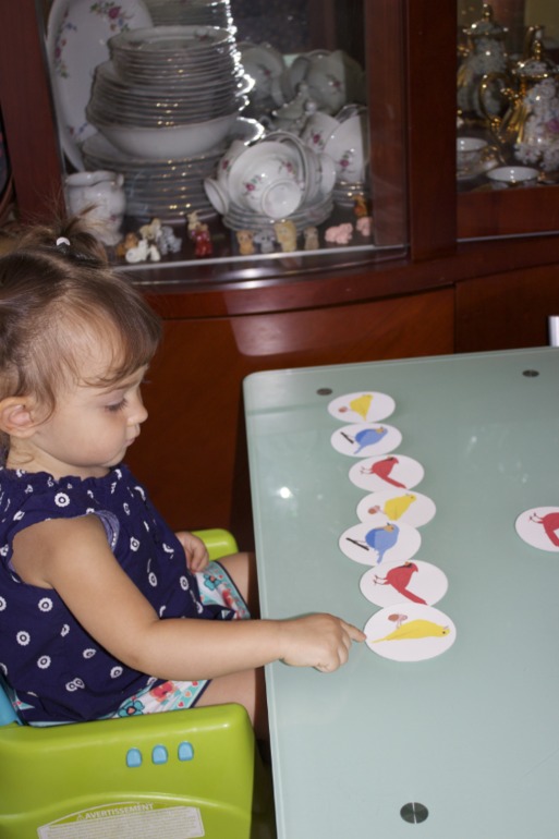 Птичья неделя. Много фото — 8 ответов | форум Babyblog