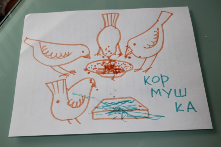 Птичья неделя. Много фото