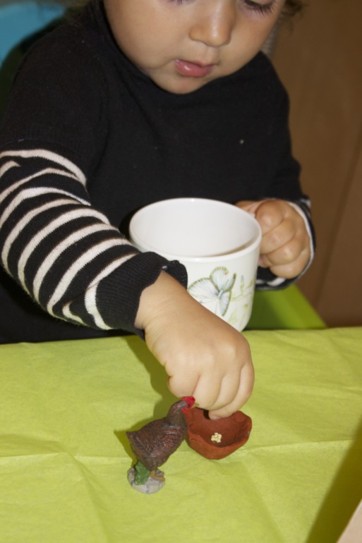 Птичья неделя. Много фото