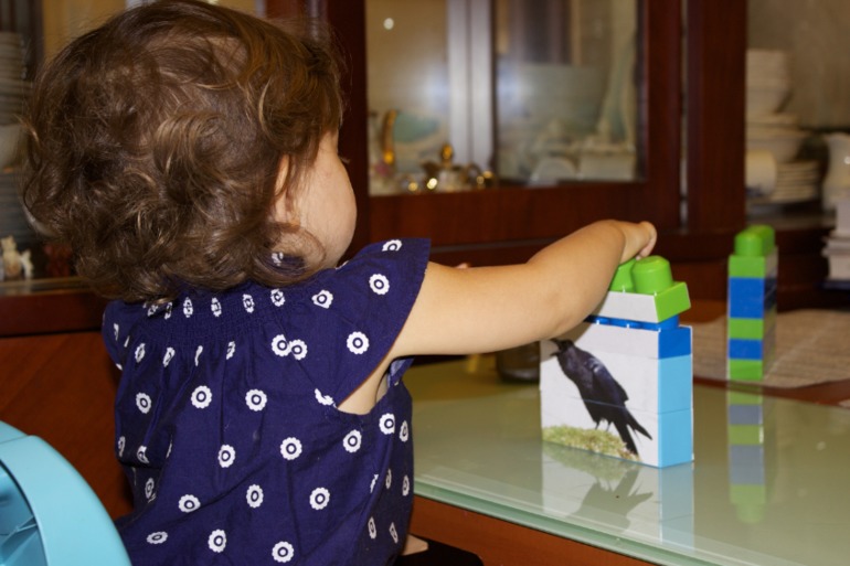 Птичья неделя. Много фото