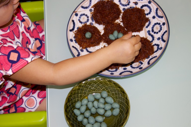 Птичья неделя. Много фото