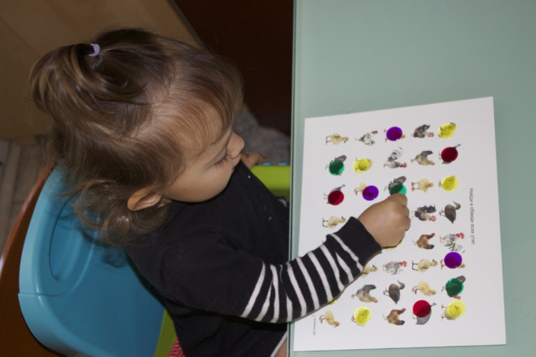 Птичья неделя. Много фото