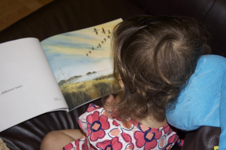 Птичья неделя. Много фото