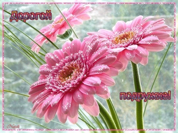 a9cef03d994129328a3fa14898676b9f.jpg