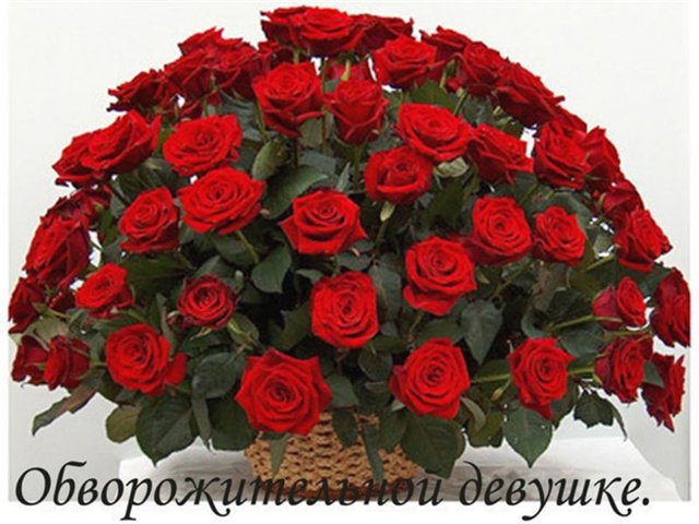 4e91f241494d359cef23281c8d9c0d26.jpg