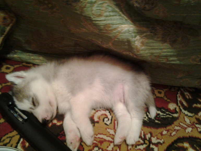 наше маленькое чудо))