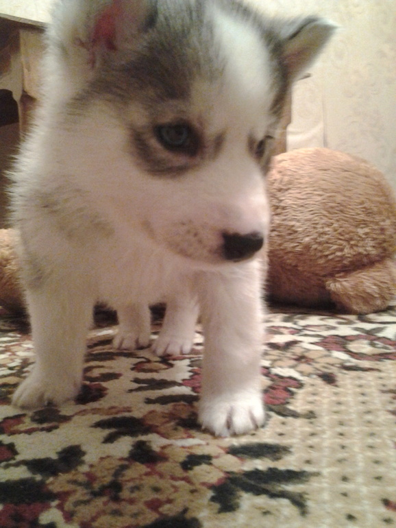 наше маленькое чудо))