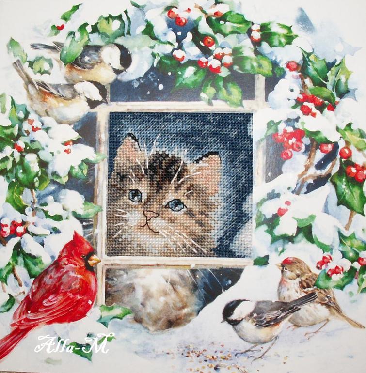 Котенок от ДИМ