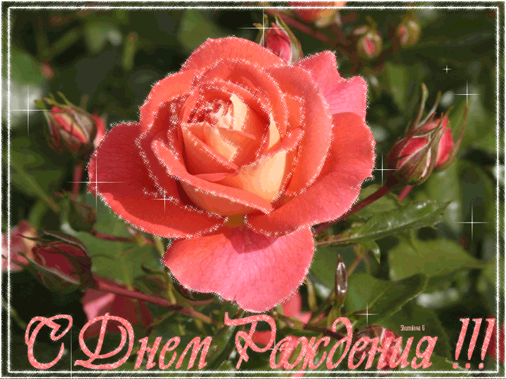 d7fc770295c40ee87c0462c2c8ba899f.gif