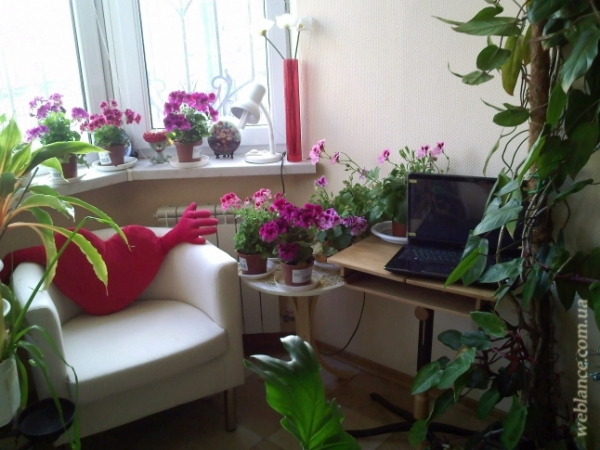 Лето. Идеи для балконов