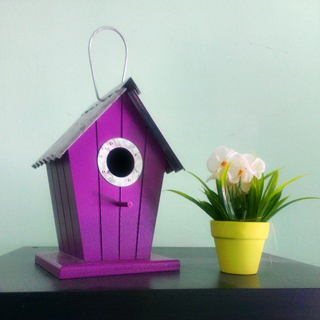 Вещи, которые меня радуют. №5 - Скворечник