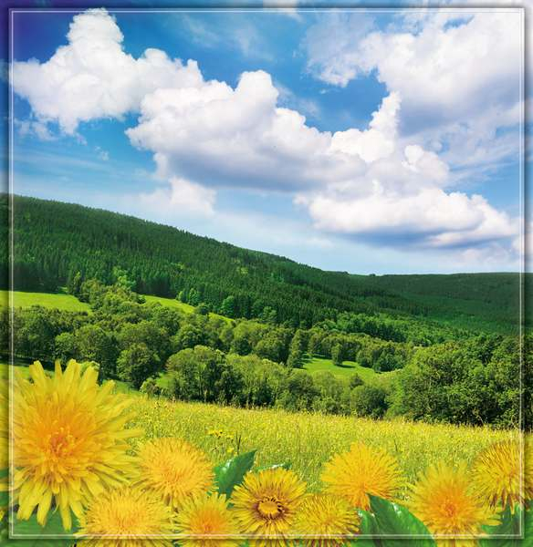 Просто невероятной красоты ФОТООБОИ!!!! Торопимся! Минималка маленькая